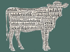 Veganlığı Anlamak: Hayvanların Ahlaki Değeri