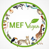 mef.jpeg