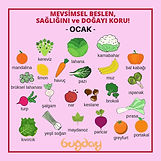 Ocak