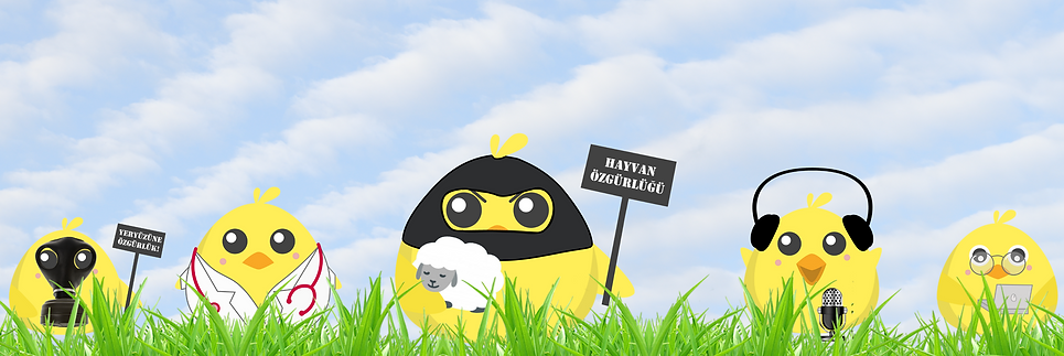 banner yazisiz-yuksek.png