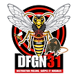 logo de DFGN31