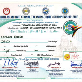 2. International Tournament - Jpeg.jpg