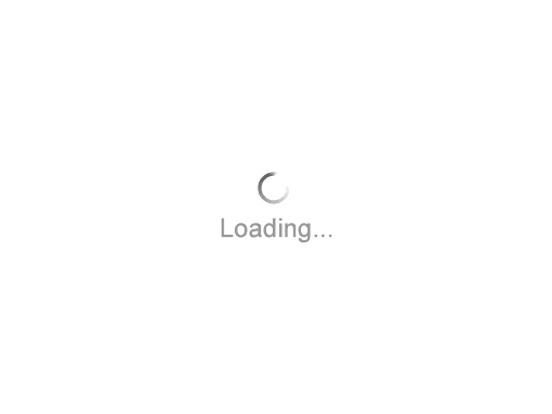 spinner.gif
