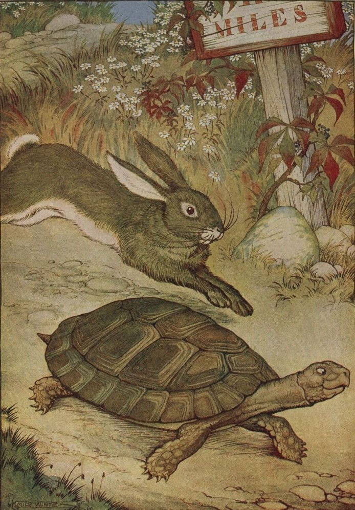 The Tortoise and the Hare From ''The Æsop for Children'', by Æsop, illustrated by Milo Winter Project Gutenberg. Public Domain
