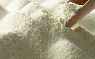 Milk-Powder.jpg