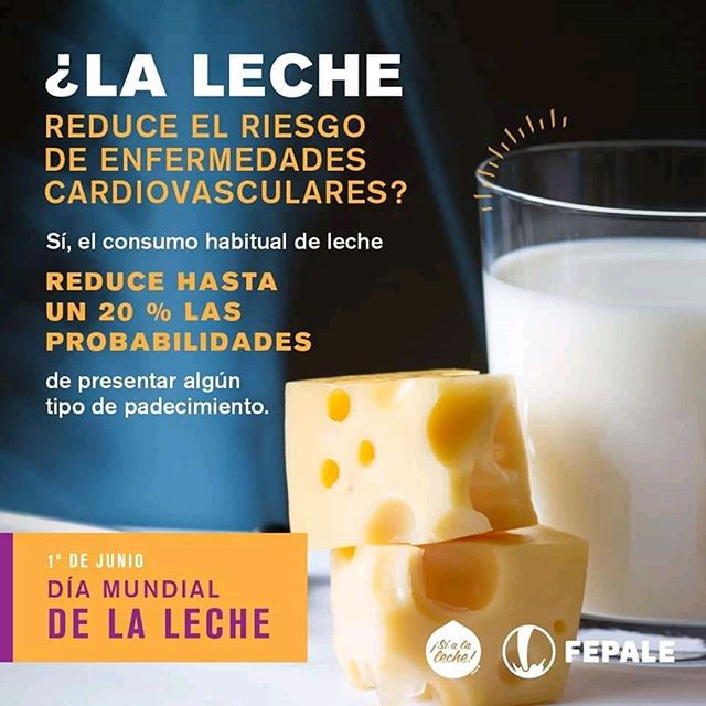 ¿El consumo de leche reduce el riesgo de