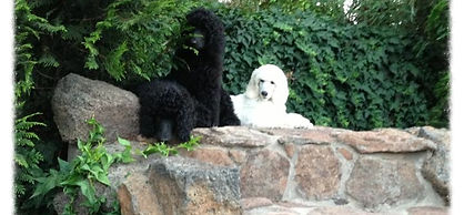 Edited Image 2014-5-18-22:50:58