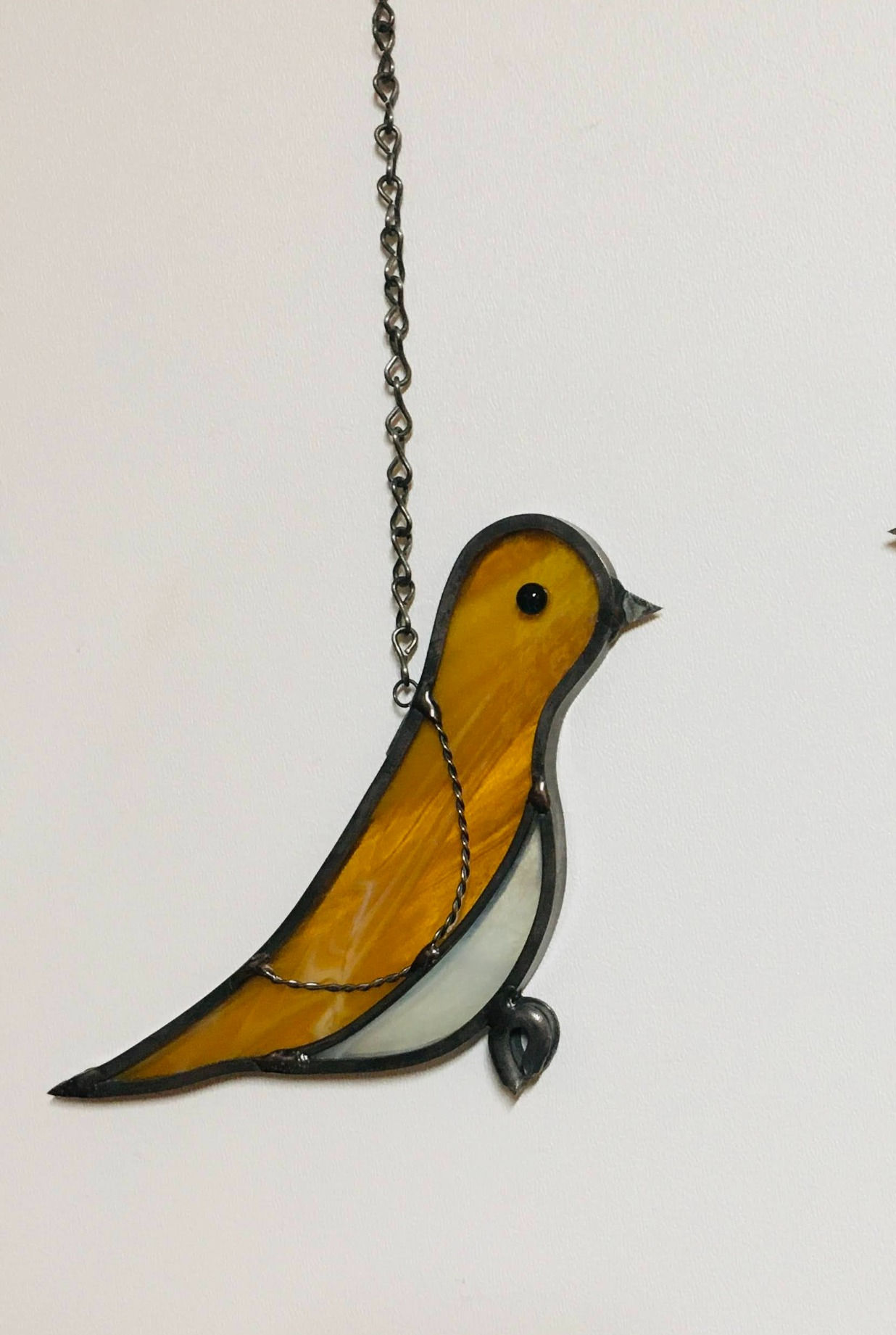 Mourning Dove  - "Raven"