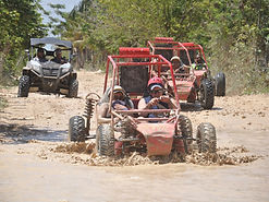 Dsc_2310.jpg