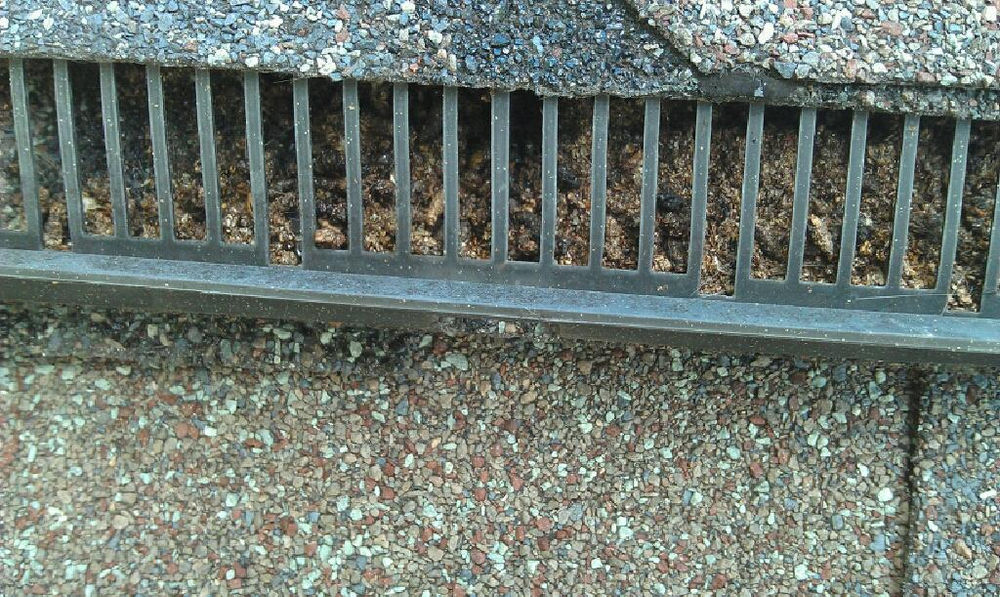 Typical Michigan Bat Entry Points