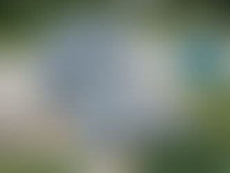 Planning Roof and Siding Work Before Spring, Is It a Real Cost Advantage for Coastal Homes?