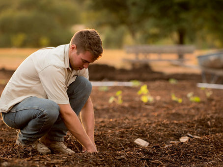 A man planting in the soil