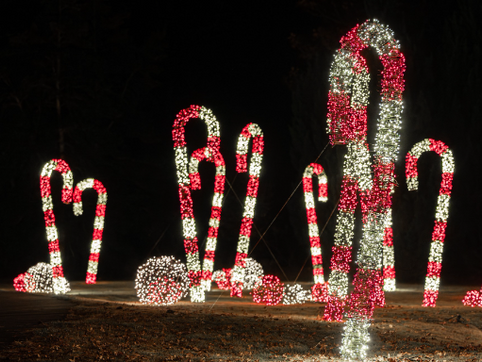 Where to see Christmas Lights