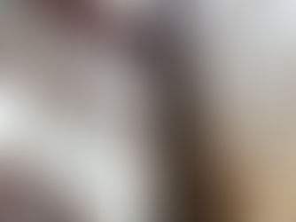 Steel Frame Vs Timber Frame: What's best?