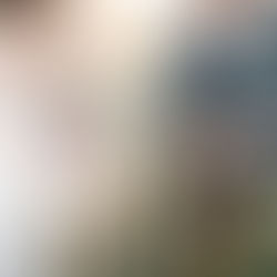 How to Include a Shy, Reactive, or Anxious Dog in Your Wedding