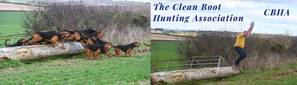 Bloodhounds pursuing a Quarry