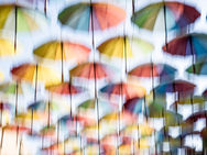 למה התמונה לא חדה? המדריך המלא לאבחון בעיות בפוקוס + פוטו-באדי - כלי פרקטי לתמונות חדות לשימוש בשטח בזמן אמת