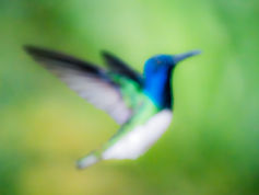 למה התמונה לא חדה? - 5 טעויות נפוצות של צלמים בנושא פוקוס ועומק שדה (ואיך להימנע מהן)