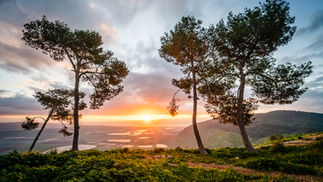 איזון לבן וניהול צבע בצילום - 5 טיפים איך להגיע לצבעים טבעיים ונכונים - משלב הצילום ועד העריכה בלייטרום