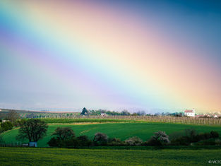 נחקור את עולם הצבע ואיך להשתמש בו ככלי להעברת מסר ושליטה באסתטיקה של התמונה. נכיר טכניקות בצילום ועריכה אמנותית ונבין את תאוריית הצבע, מהם צבעים ראשוניים, משלימים, מנוגדים, מונוכרומטיות, שליטה בגוון, בהירות וסטורציה ועוד