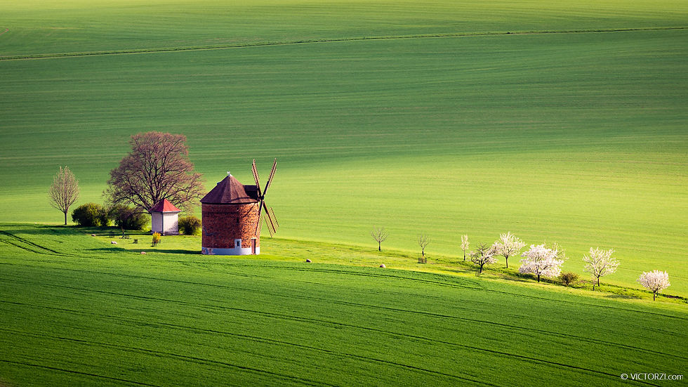 פוטו טיפס לימוד צילום טיולי צילום בחו"ל סדנאות קורסים ללמוד צילום עם בינה מלאכותית