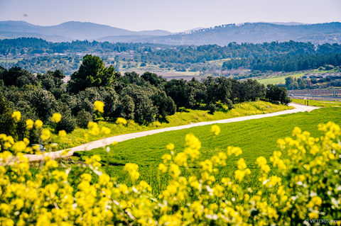 סדנה מושלמת לאנשים שמעוניינים לשלב את האהבה לצילום עם חיבור לטבע והכרת הארץ דרך הרגליים!
נסייר באחד האזורים היפים בארץ בשיא הפריחה האביבית עם המון הזדמנויות צילום בשעות הכי טובות לטיול ולצילום
