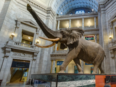 Smithsonian Virtual Tours