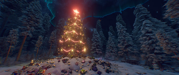 ER_Christmas_20.jpg