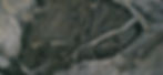 fKallio2.jpg
