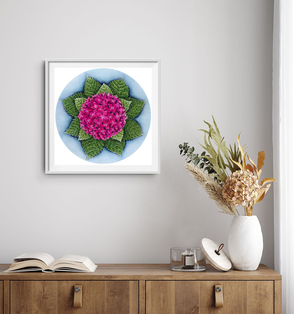 Thumbnail: Hydrangea Blooms floral art print by Sue Lockett displayed as wall art, showing pink hydrangea petals and delicate detai
