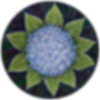 Blue hydrangea flower with green leaves surrounding it. Dark purple and green background.