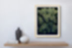 Thumbnail: green and purple leaves against a dark background