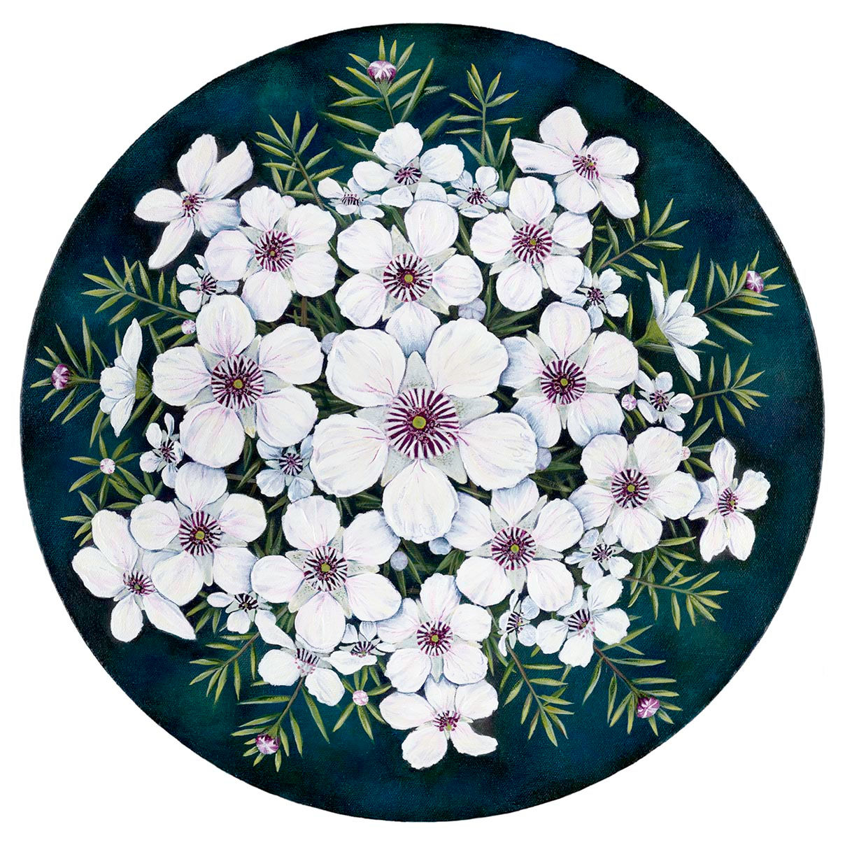 Mānuka greeting card NZ featuring native manuka blossoms from an original painting