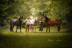 photographe-equin-melle