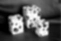 31C. Pawprint Metal Scattertins.jpg