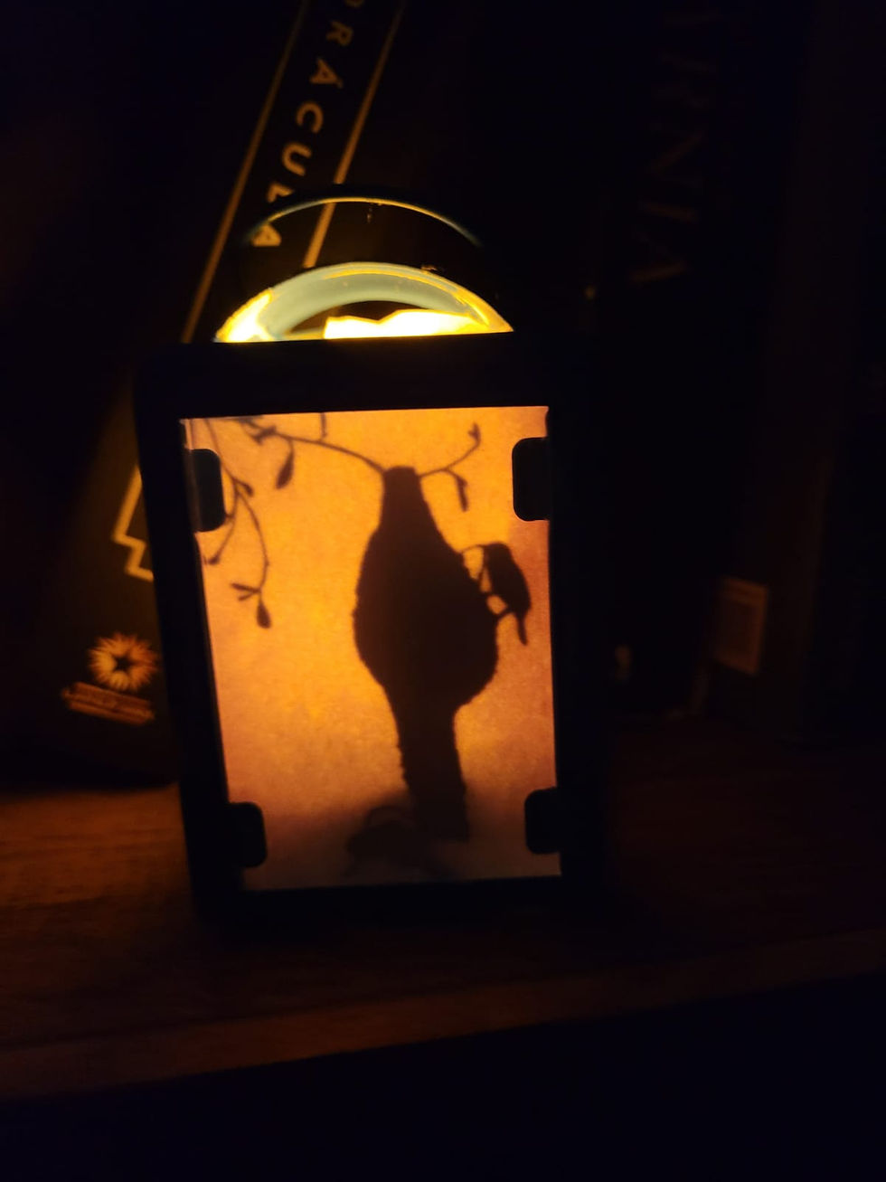 Miniatura: Mini Lanterna Encantada - Pássaro Tecelão