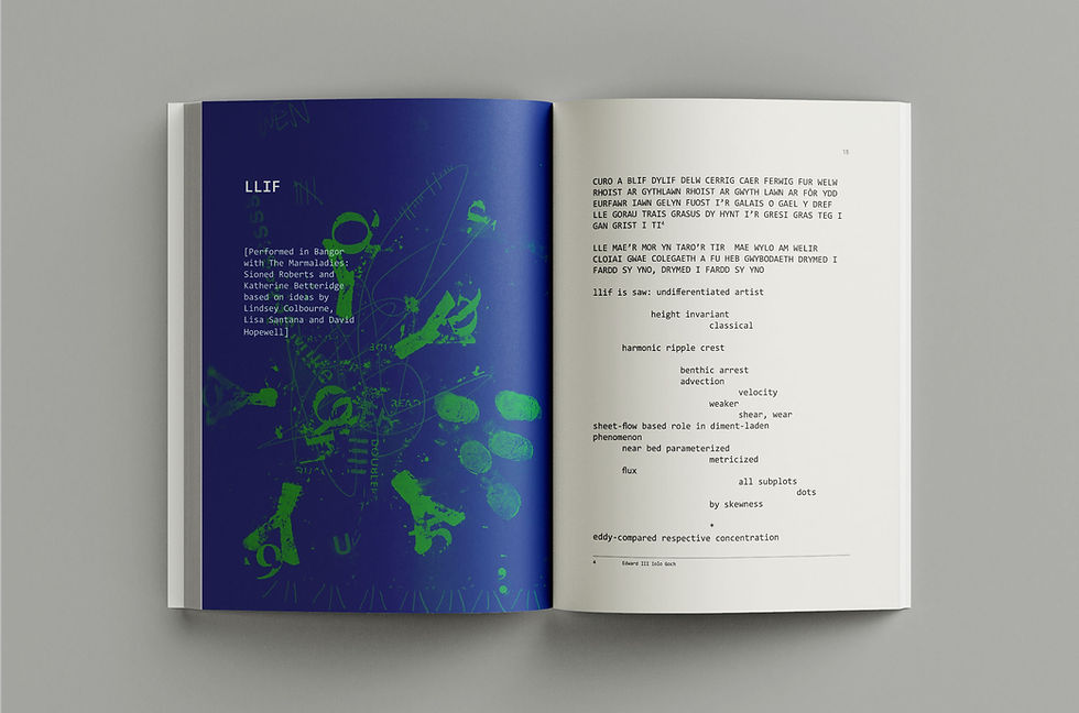 Thumbnail: Rhys Trimble  I  KØR, TRANSLATIONS FROM EX TEMPORE