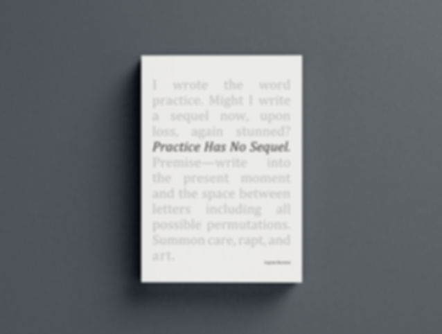 Laynie Browne I Practice Has No Sequel