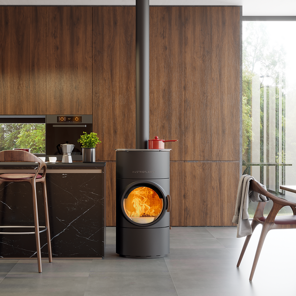 Clou Compact Cook- Austroflamm