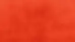 bg.webp