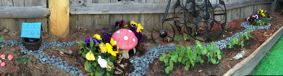 The hidden fairy garden