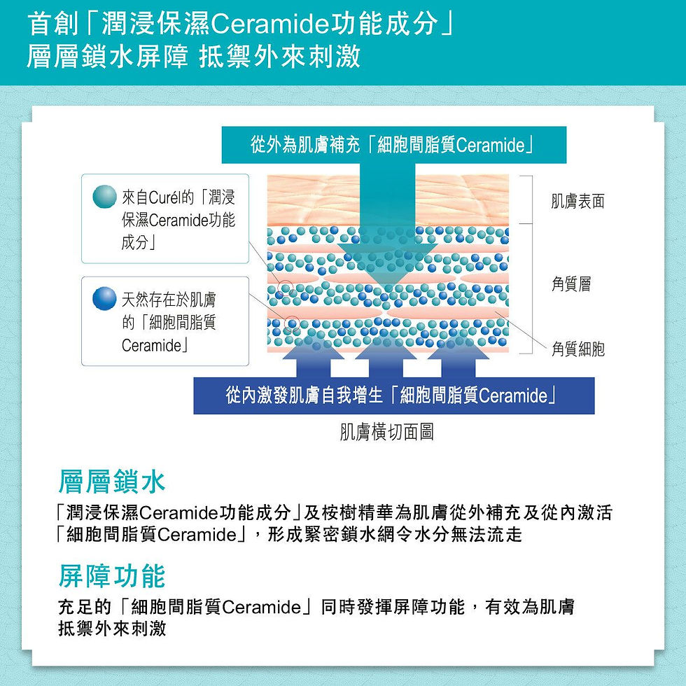 縮圖：(代購)日本最新1.7倍增量裝 Kao 花王 CUREL Intensive Moisture Facial Cream 深層高效保濕面霜 70g
