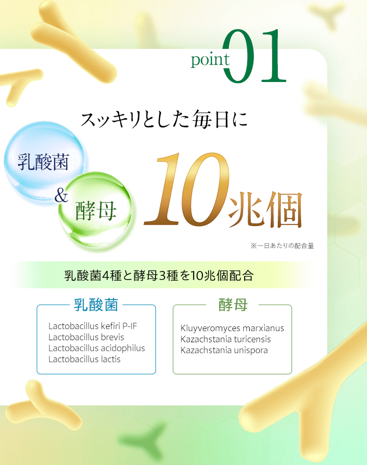 Thumbnail: DHC Japan Perfect Supplement Multi Vitamin & Mineral Diet Supplement for 30 Days