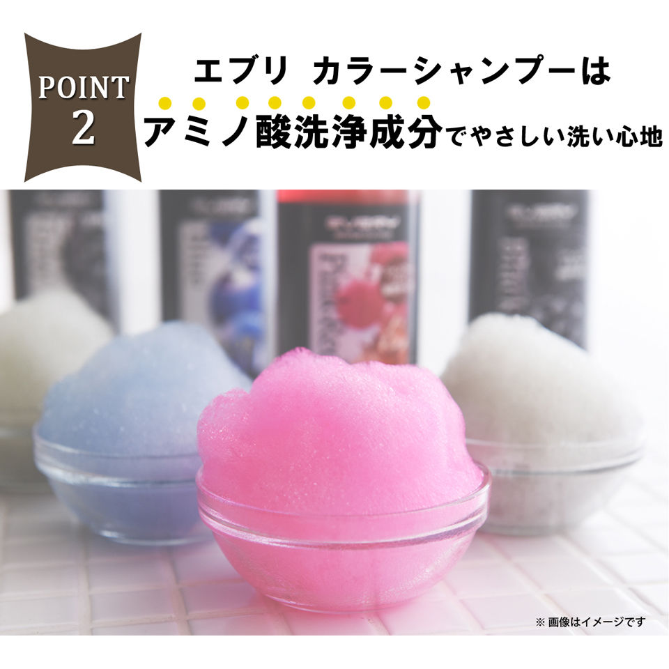縮圖：(代購)日本Anna Donna Every Color 染髮護理鎖色護色洗髮水 Color Shampoo 300ml