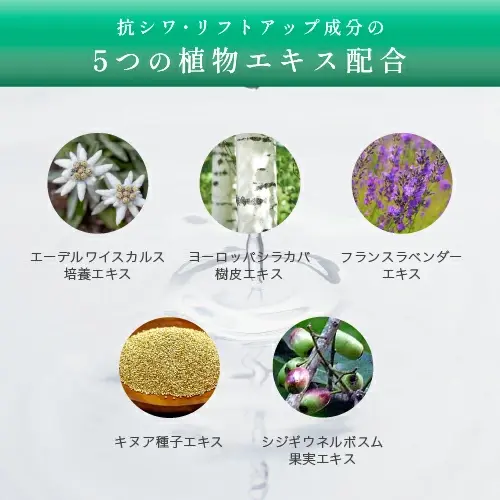 縮圖：(代購)日本KATAN CICA Derma Needle Hit Serum 5P 高效密集修護積雪草微針 PDRN 導入美容精華液 30g