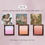 Thumbnail: (代購)日本 MilleFee Angel Gradation Blush Cheek Color 天使油畫系列漸變胭脂盤 5g