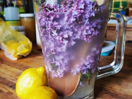 Refreshing Lilac Lemonade: A Floral Twist on a Classic Summer Drink