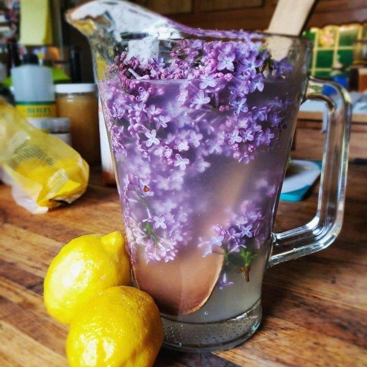 Lilac Lemonade