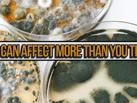Mold Exposure, MSH & Chronic Inflammation: The Hormone Most People Have Never Heard Of