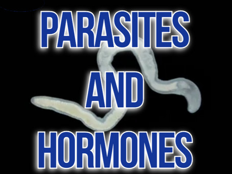 Parasite Infections and Hormonal Disruption: What Science Shows